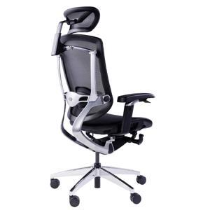 Ghế công thái học GT Chair Marrit X