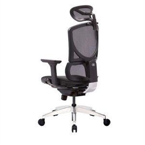 Ghế công thái học GTChair Dvary Isee mini