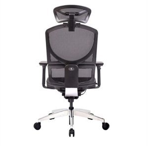 Ghế công thái học GTChair Dvary Isee mini