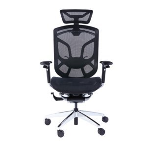 Ghế công thái học GTChair Dvary Butterfly