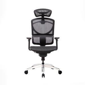 Ghế công thái học GTChair I-see M