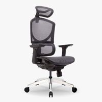 Ghế công thái học GTChair I-see M