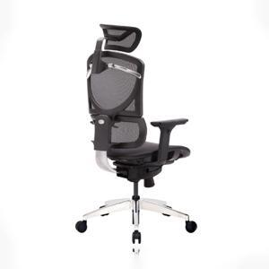 Ghế công thái học GTChair I-see M