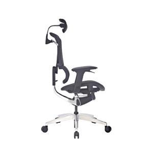 Ghế công thái học GTChair I-see X