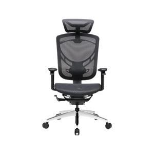 Ghế công thái học GTChair Ivino Gen II tay 5D