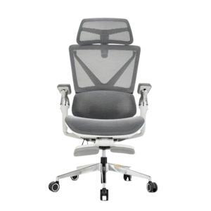 Ghế công thái học SMA Massage Chair EM-01