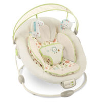 Ghế rung Bright Starts 7184 Comfort & Harmony Cradling Bouncer