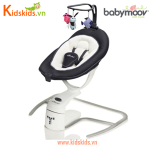 Ghế Rung Đa Chiều BabyMoov BM01476