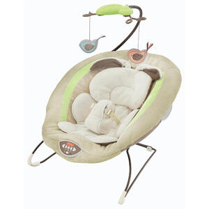 Ghế rung My Little Snugabunny Bouncer Seat Fisher Price V4650