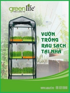 Giàn máy trồng rau mầm tại nhà Green life GLVR01