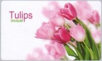 Giấy dán bếp chống dầu mỡ Tulip