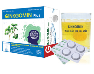 GINKGOMIN PLUS