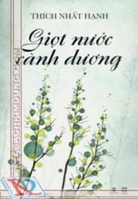 Giọt nước cành dương