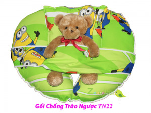 GỐI CHỐNG TRÀO NGƯỢC TN22