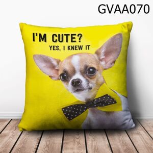 Gối vuông Chihuahua I'm cute? - GVAA070