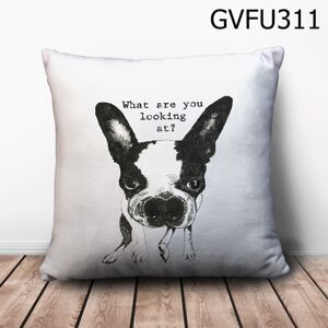 Gối vuông What are you looking at? - GVFU311