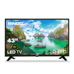 Google Tivi Rindo Full HD 43 inch R-43GF