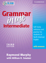 Grammar In Use Intermediate