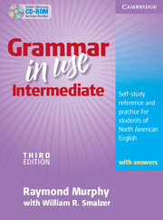 Grammar In Use Intermediate