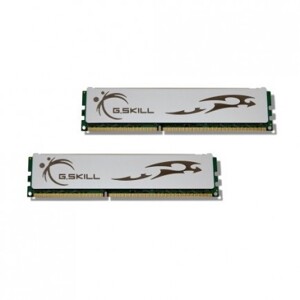 RAM GSKiLL ECO F3-10666CL8D-4GBECO DDR3 4GB (2GBx2) Bus 1333MHz PC3-10666