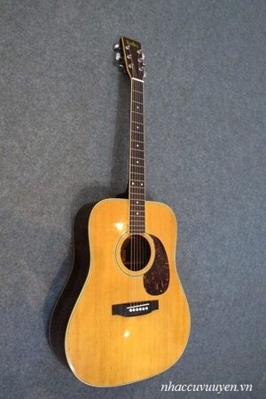 Đàn Guitar Acoustic Blue Bell W-250