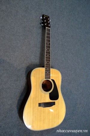 Đàn Guitar Acoustic Morris MD-505