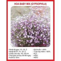 Hạt Giống Hoa Baby Mix (50 hạt )