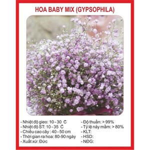 Hạt Giống Hoa Baby Mix (50 hạt )