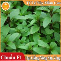 Hạt giống Rau Húng Quê ( gói 5 gram )