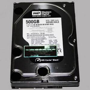 HDD Western Caviar AV-GP 500 GB (WD5000AVDS)