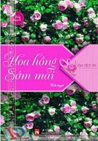 Hoa hồng sớm mai