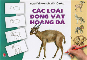 Họa sĩ tí hon tập vẽ - tô màu - Các loài động vật hoang dã - Nhiều tác giả