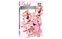 Hộp 6 nến tealight thơm Orchid Bartek Candles FtraMart FTM-BAT0677