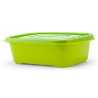 Hộp bảo quản E.Z Lock Green P&Q - P-00012Gr, 2.7L