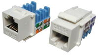 HỘP MẠNG AMP CAT 5