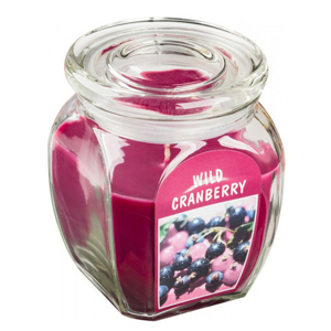 Hũ nến thơm tinh dầu Bolsius Wild Cranberry 305g QT024365 - việt quất hoang dã