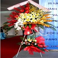 Kệ hoa mừng khai trương HKT20