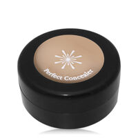 Kem che khuyết điểm Missha The Style Perfect Concealer Light Beige