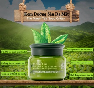 Kem dưỡng da chuyên sâu trà xanh Green Tea Pure Deep Cream Innisfree