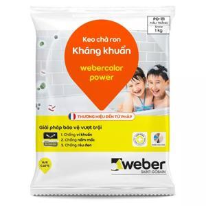 Keo chà ron Weber Color Power PO-111