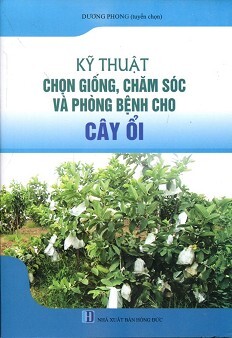 Kỹ Thuật Chọn Giống, Chăm Sóc Và Phòng Bệnh Cho Cây Ổi