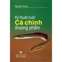 Kỹ thuật nuôi cá chình thương phẩm