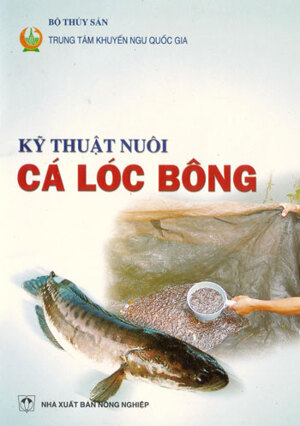 Kỹ Thuật Nuôi Cá Lóc