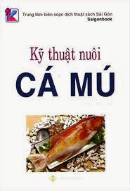 Kỹ Thuật Nuôi Cá Mú