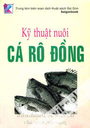 Kỹ Thuật Nuôi Cá Rô Đồng