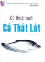 Kỹ Thuật Nuôi Cá Thát Lát