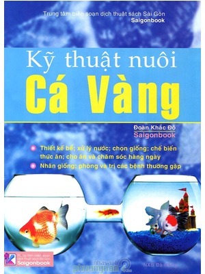 Kỹ thuật nuôi cá vàng