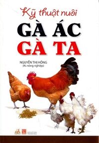 Kỹ Thuật Nuôi Gà Ác, Gà Ta