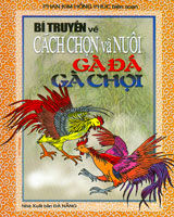 Kỹ thuật nuôi gà đá