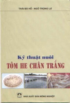 Kỹ thuật nuôi tôm he chân trắng